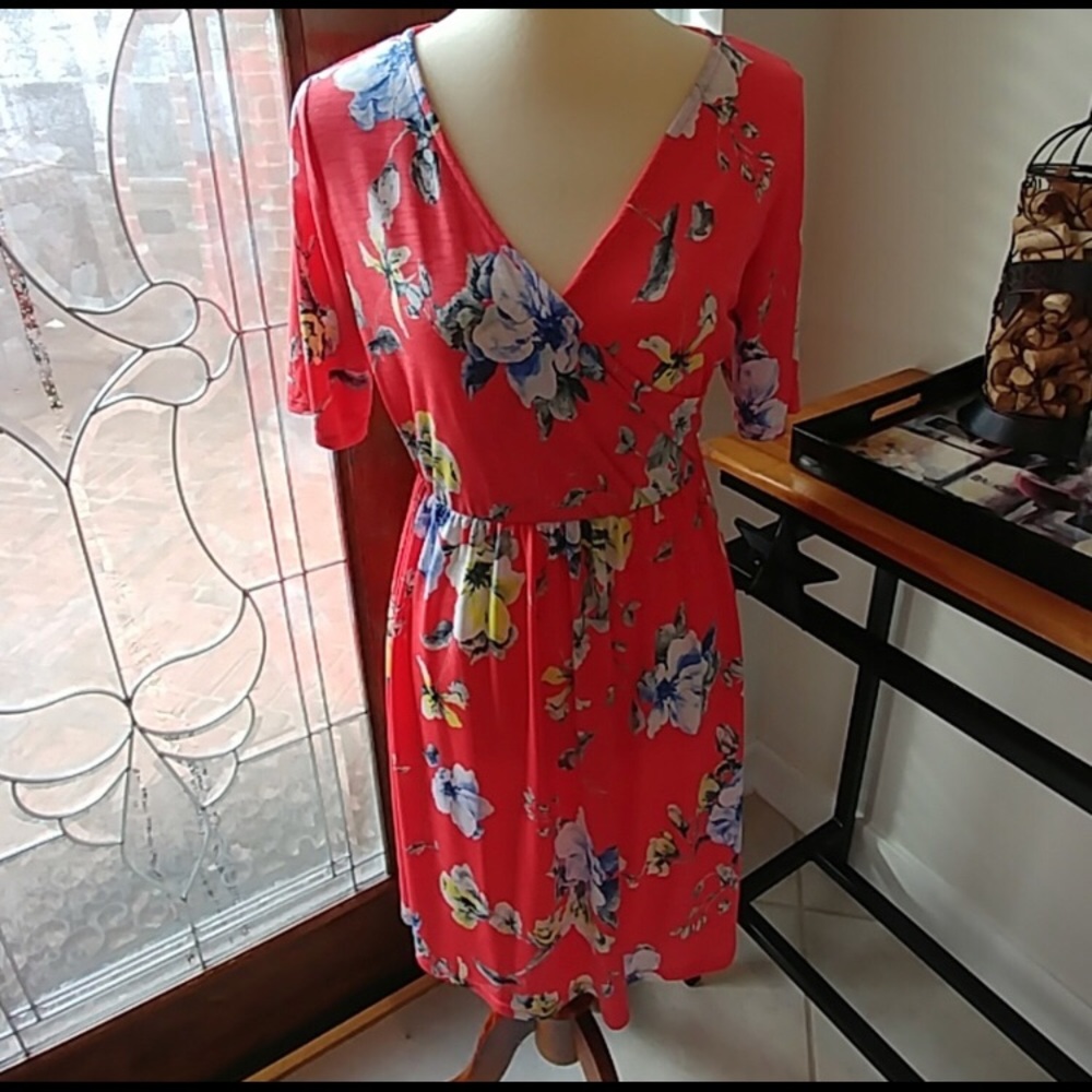 NWT Gilli dress